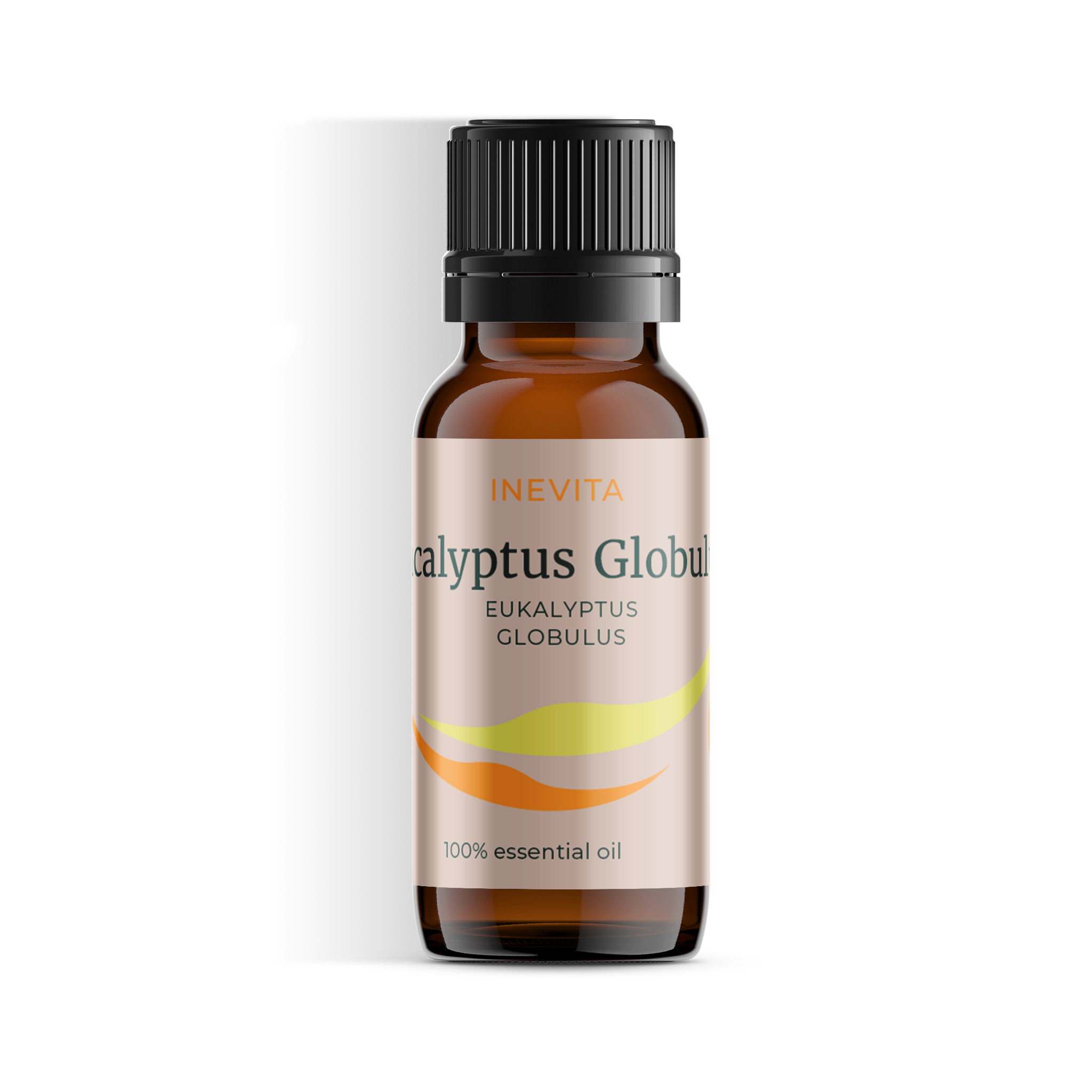 Eucalyptus Globulus