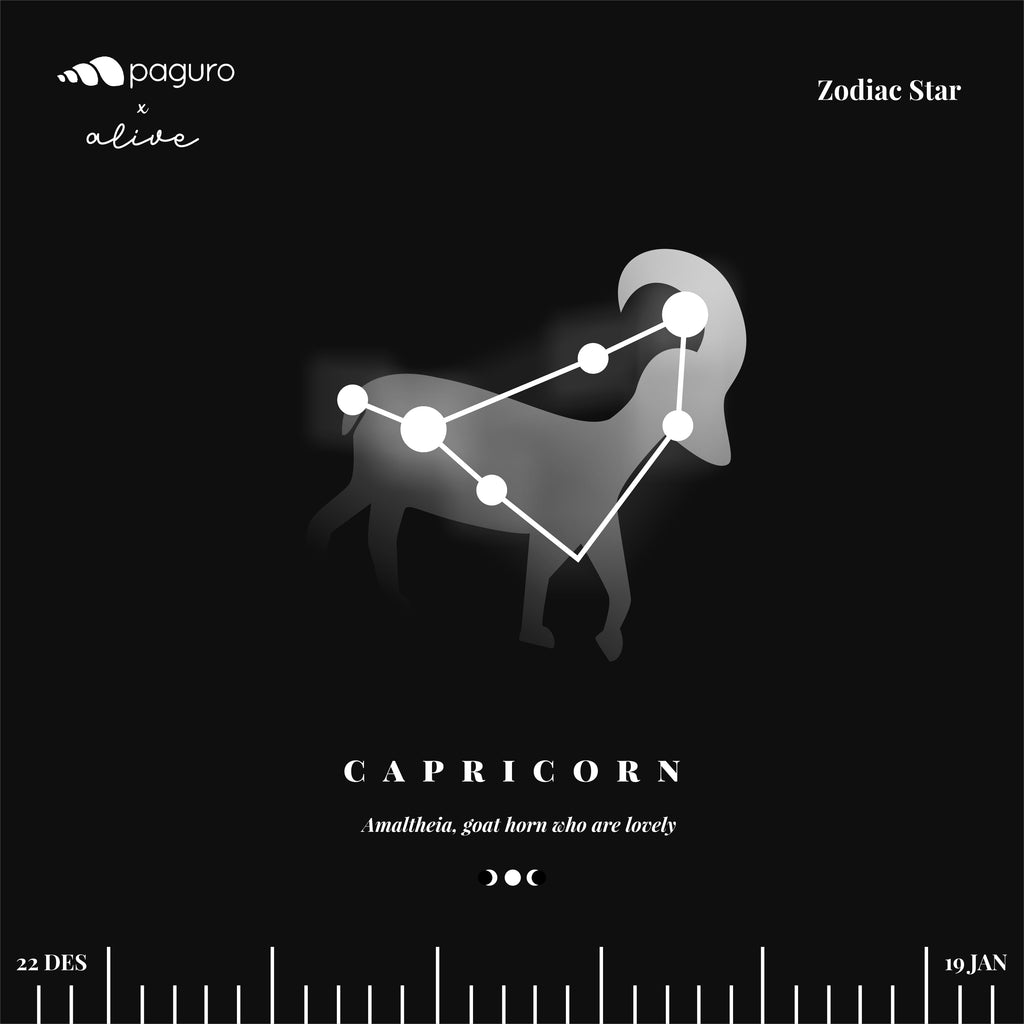Capricorn Zodiac Sign Sustainable Necklace